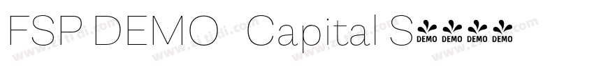 FSP DEMO   Capital S字体转换